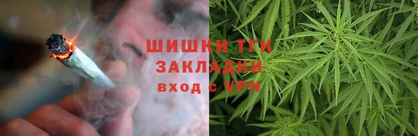 дживик Арсеньев