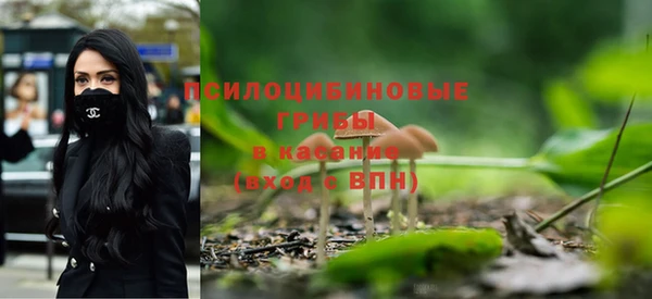 МДПВ Армянск