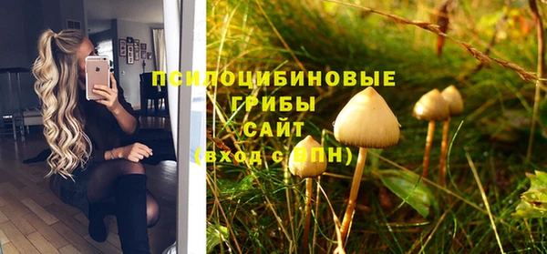 дживик Арсеньев