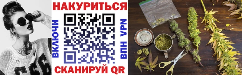 Конопля гибрид  что такое   Касимов 